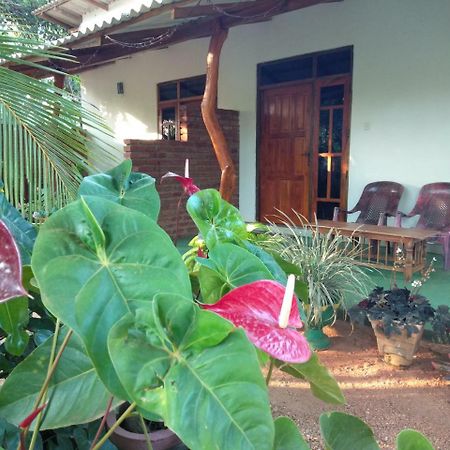 סיגירייה Amaya River Side Homestay מראה חיצוני תמונה