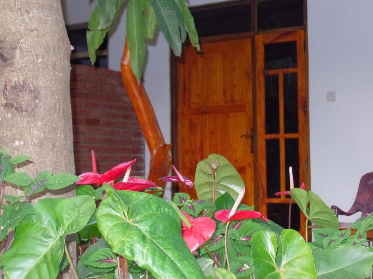 סיגירייה Amaya River Side Homestay מראה חיצוני תמונה