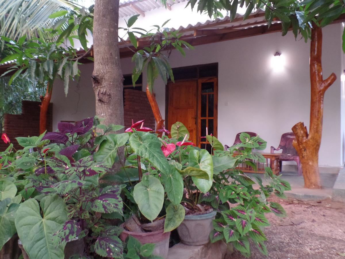 סיגירייה Amaya River Side Homestay מראה חיצוני תמונה