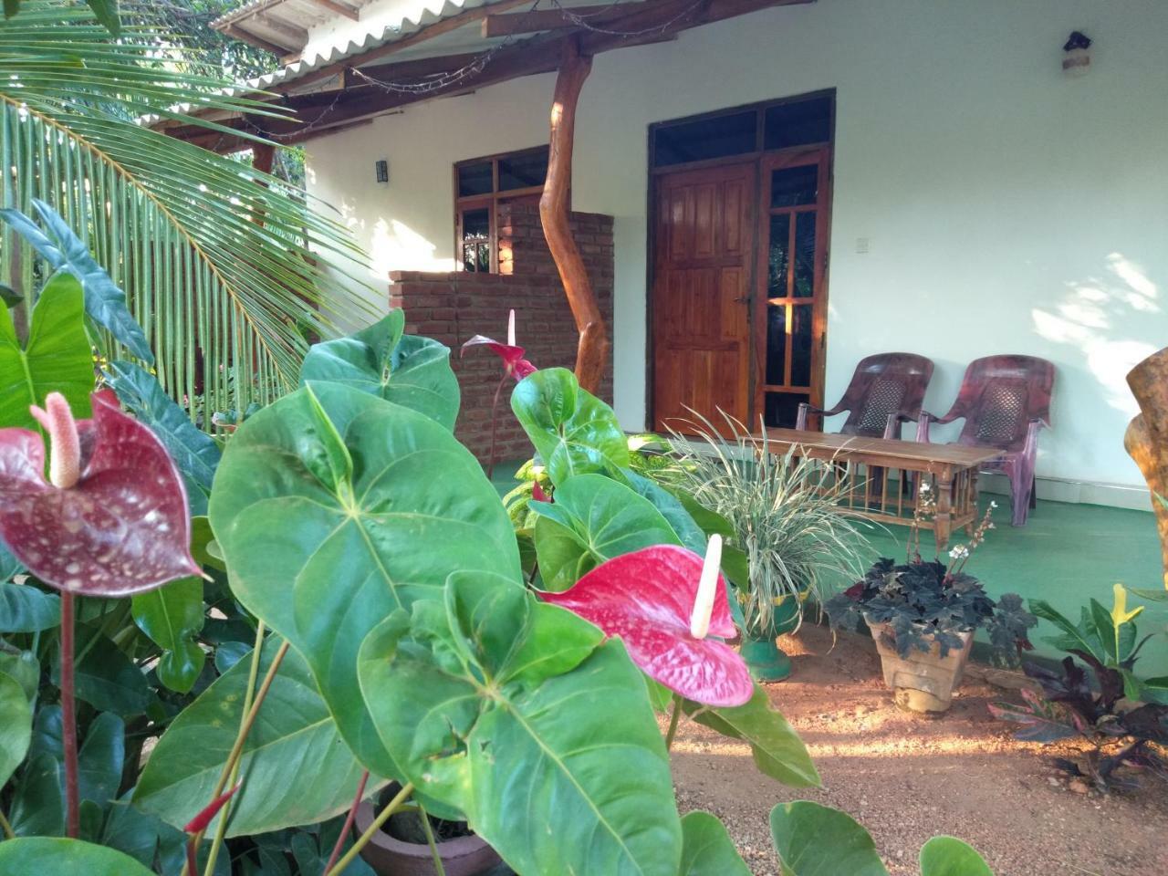 סיגירייה Amaya River Side Homestay מראה חיצוני תמונה